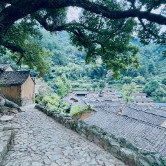 王家厨房(新华路店) User Photo