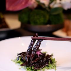 STAR OF PU User Photo