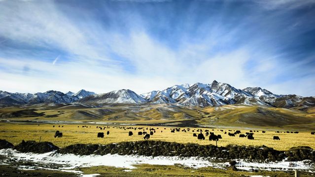 Qilian Mountain National Park Nature Museum