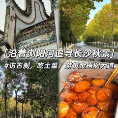 田小狗的饭店(碧桂园店) User Photo