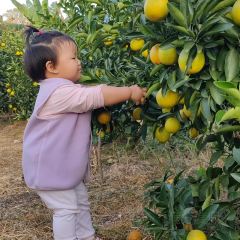 明味生態農莊張用戶圖片