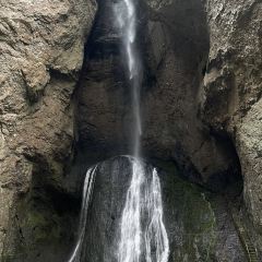 聚春園(南后街店)張用戶圖片