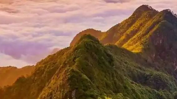 Pillow Mountain Forest Park