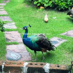 ThaiWan-Thai灣(ไทยหวัน) User Photo