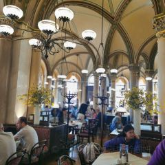 Griechenbeisl User Photo