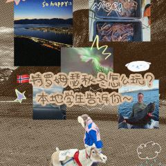 McDonald’s Tromsø User Photo