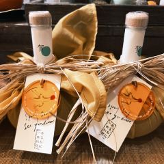 YEHER PLANT STUDIO User Photo