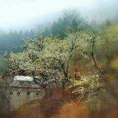 WU MENG SHAN 여행 사진