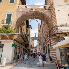 Gelateria Dondoli張用戶圖片