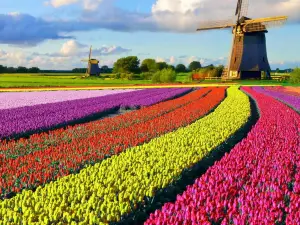 Holland Ridge Farms