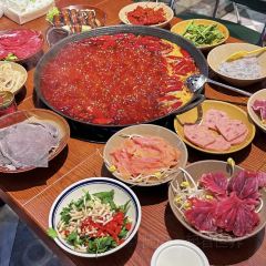 HU JI BA BAO YU MI XIAN BAO ZAI FAN User Photo