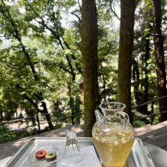 鸟鸣涧森林餐厅·野生菌–自然之味 여행 사진