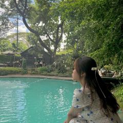 Yook Samai User Photo