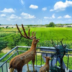 好得来蟹庄·阳澄湖农家菜·蟹全友(莲花岛店) User Photo