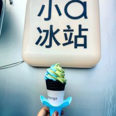 XXSHOKU 여행 사진