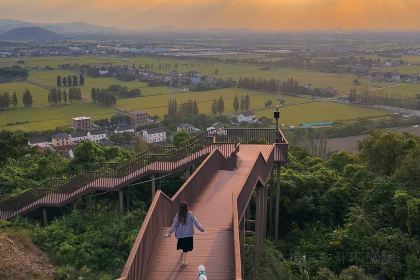 言老头面馆(南环农贸市场店)