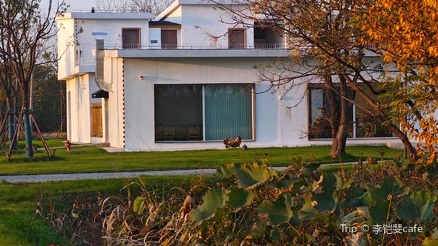 yang zhou shi qi he ba dao