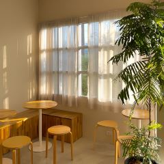 Yotsuba Tea User Photo