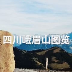 峨眉山乌兰度假酒店·云鹃阁全日餐厅 User Photo