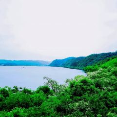 新月集星舟咖啡馆 User Photo