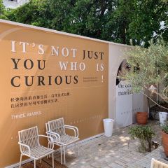 上海 User Photo