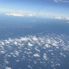 华南宝 User Photo