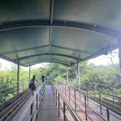 維一億江南（長興店）張用戶圖片