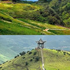YIN XIANG MIAO LING HE YU CHENG User Photo