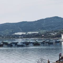 抚仙湖大知闲闲民宿·掌间 User Photo