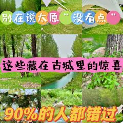 楊記灌腸（食品街店）張用戶圖片