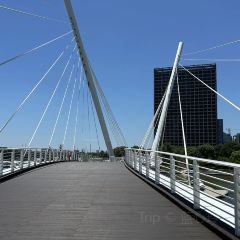 半两·咖啡书店·浮生是杯酒 User Photo