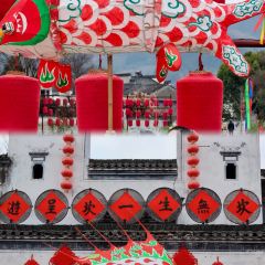 Cheng kan mao dou fu User Photo