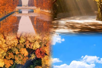 章云板鸭(评事街店)