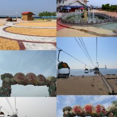 海星辰海鲜大排档(黄金海岸店) User Photo