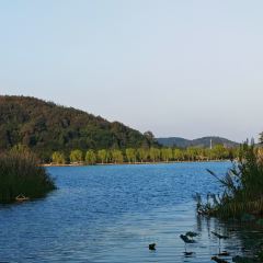 小三毛流浪处明清酒家(南北湖风景区店) User Photo
