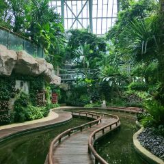 XING JI SUGAR CANE ICE User Photo