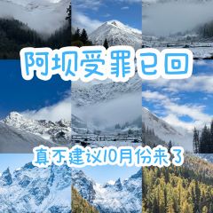 ZA QI ZA BA NIU ZA TANG GUO User Photo