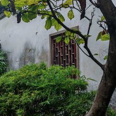 Torch Coffee 炬点咖啡 User Photo