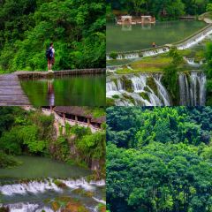 Dan's Crispy Duck User Photo