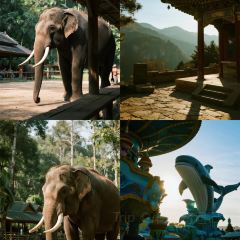 YUNQIAO BANQUET User Photo