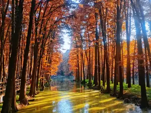 Xinghua Lixiahe Lizhong Provincial Wetland Park