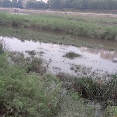 梁记粥铺(红安店) User Photo