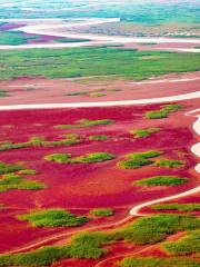 Dongying Yellow River Delta