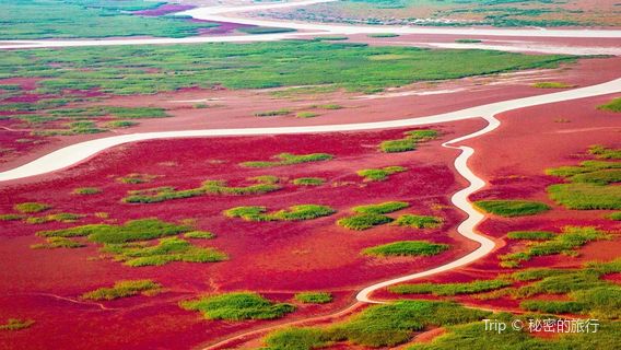 shan dong huang he san jiao zhou guo jia ji zi ran bao hu qu