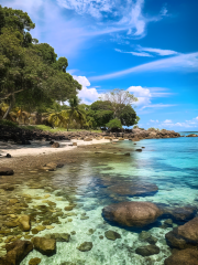 Kalong (Flying Foxes) Island