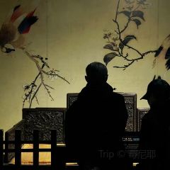 江大小后街張用戶圖片