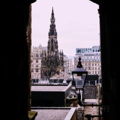 The Milkman張用戶圖片