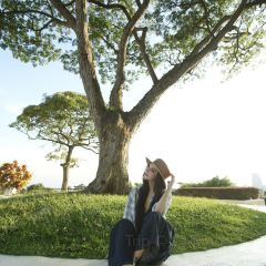 Dusk @ Mount Faber Peak User Photo