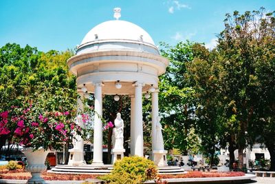 Molo Plaza