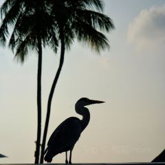 Mandhoo Restaurant User Photo